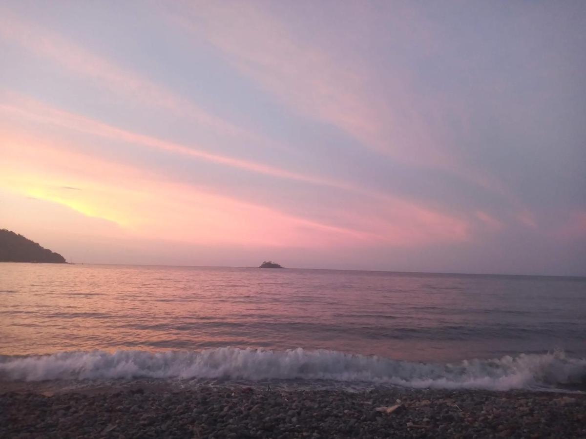 Hostal Bralgijon Capurganá エクステリア 写真